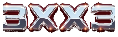 3xx3 logo